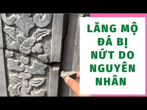 mo da bi nut nguyen nhan do dau